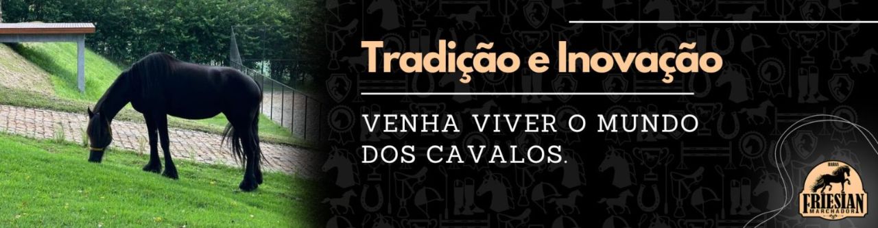 Cavalo Friesian Machador — imagem 4