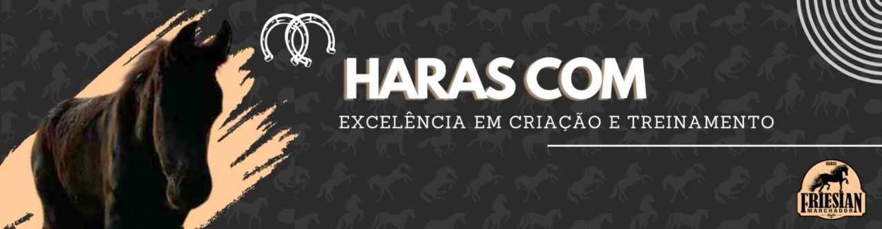 Cavalo Friesian Machador — imagem 1