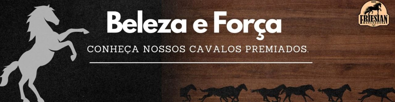 Cavalo Friesian Machador — imagem 2